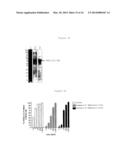 NOVEL REAGENTS AND METHOD FOR CONJUGATING BIOLOGICAL MOLECULES diagram and image