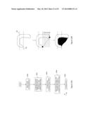 MYOCARDIAL CLUSTERIFICATION AND ORIENTATION diagram and image