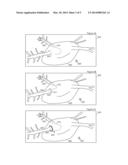 NEARFIELD ULTRASOUND ECHOGRAPHY MAPPING diagram and image