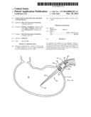 ENDOLUMENAL RESTRICTION METHOD AND APPARATUS diagram and image