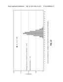 PERFORMING A DIVISION OPERATION USING A SPLIT DIVISION CIRCUIT diagram and image