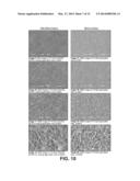 VENTING ASSEMBLY AND MICROPOROUS MEMBRANE COMPOSITE diagram and image