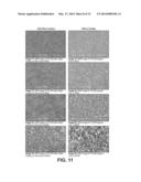 VENTING ASSEMBLY AND MICROPOROUS MEMBRANE COMPOSITE diagram and image