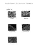 BEVERAGE EXTRACTION APPARATUS diagram and image