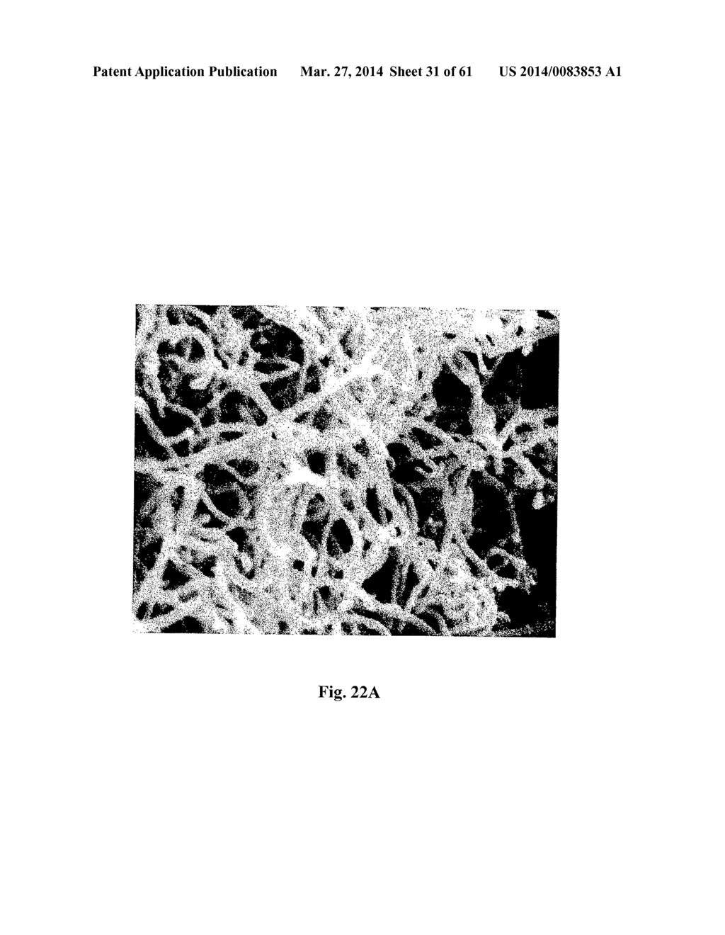 ELECTROCHEMICAL SENSORS - diagram, schematic, and image 32