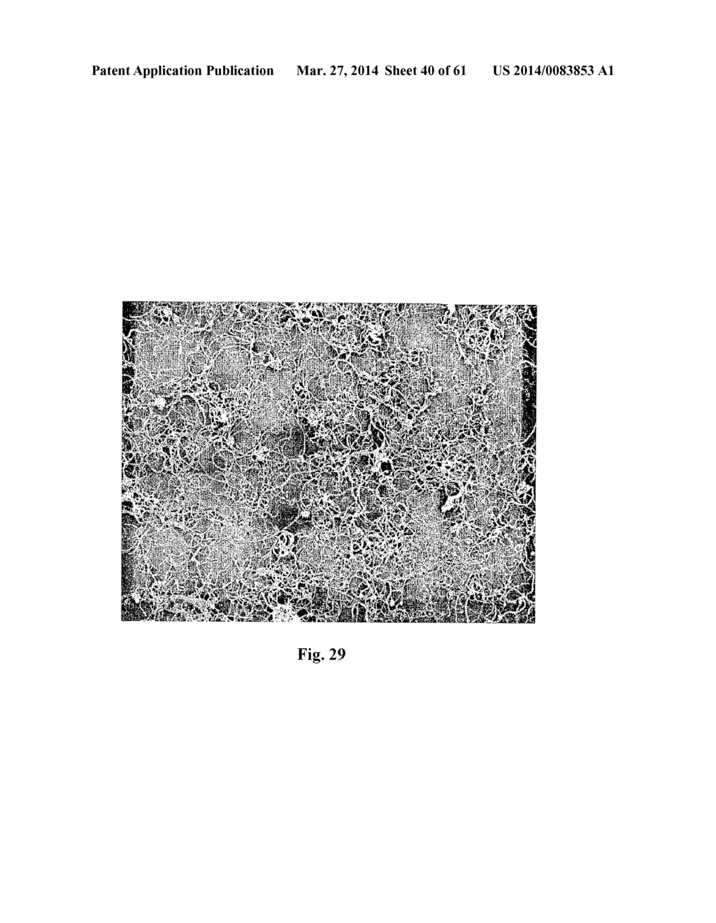 ELECTROCHEMICAL SENSORS - diagram, schematic, and image 41