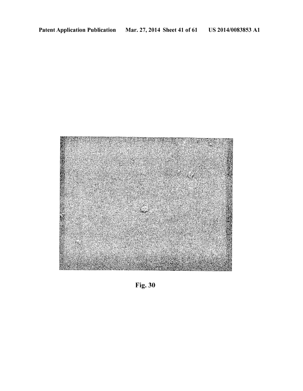 ELECTROCHEMICAL SENSORS - diagram, schematic, and image 42