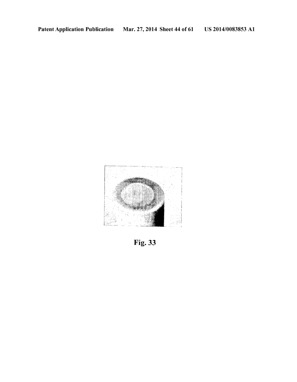 ELECTROCHEMICAL SENSORS - diagram, schematic, and image 45