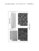 BIOFUNCTIONAL NANOFIBERS FOR ANALYTE SEPARATION IN MICROCHANNELS diagram and image