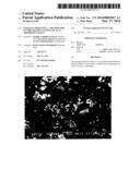 CHITOSAN DERIVATIVE, A METHOD FOR ITS PREPARATION AND ITS USE AS AN     ADSORPTION AGENT diagram and image