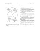 CHITOSAN DERIVATIVE, A METHOD FOR ITS PREPARATION AND ITS USE AS AN     ADSORPTION AGENT diagram and image