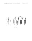 MAGNETIC PARTICLE SCAVENGING DEVICE AND METHOD diagram and image