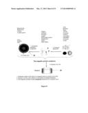 MAGNETIC PARTICLE SCAVENGING DEVICE AND METHOD diagram and image