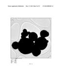 NANOPARTICLES FOR HEAT TRANSFER AND THERMAL ENERGY STORAGE diagram and image