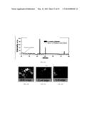 NANOPARTICLES FOR HEAT TRANSFER AND THERMAL ENERGY STORAGE diagram and image