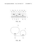 LIGHT EMITTING DEVICE AND ILLUMINATION APPARATUS diagram and image