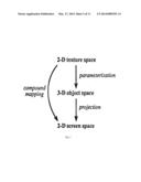 DIRECT ENVIRONMENTAL MAPPING METHOD AND SYSTEM diagram and image