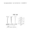 ZOOM LENS SYSTEM, IMAGING APPARATUS, AND METHOD FOR ZOOMING THE ZOOM LENS     SYSTEM diagram and image