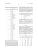 METHOD AND APPARATUS FOR EFFICIENT FEEDBACK IN A WIRELESS COMMUNICATION     SYSTEM SUPPORTING MULTIPLE ANTENNA diagram and image