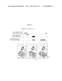 MAGNETIC RESONANCE IMAGING (MRI) APPARATUS AND CONTROL METHOD THEREOF diagram and image