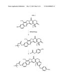 DELIVERY SYSTEM FOR CYTOTOXIC DRUGS BY BISPECIFIC ANTIBODY PRETARGETING diagram and image