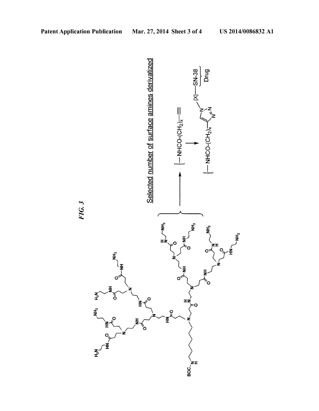 DELIVERY SYSTEM FOR CYTOTOXIC DRUGS BY BISPECIFIC ANTIBODY PRETARGETING - diagram, schematic, and image 05