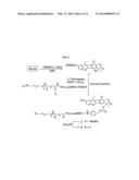 DELIVERY SYSTEM FOR CYTOTOXIC DRUGS BY BISPECIFIC ANTIBODY PRETARGETING diagram and image