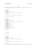 DELIVERY SYSTEM FOR CYTOTOXIC DRUGS BY BISPECIFIC ANTIBODY PRETARGETING diagram and image