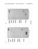 Methods and Compositions for Heptameric Targeting Ligands diagram and image