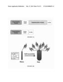 Methods and Compositions for Heptameric Targeting Ligands diagram and image