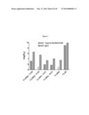 Optimized Antibodies That Target CD19 diagram and image