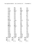 TREATMENT METHODS USING c-MET ANTIBODIES diagram and image