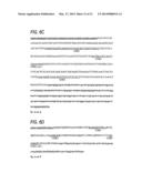 TREATMENT METHODS USING c-MET ANTIBODIES diagram and image