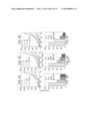 COMBINATIONS OF ANTI ErbB ANTIBODIES FOR THE TREATMENT OF CANCER diagram and image