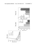 COMBINATIONS OF ANTI ErbB ANTIBODIES FOR THE TREATMENT OF CANCER diagram and image