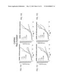 COMBINATIONS OF ANTI ErbB ANTIBODIES FOR THE TREATMENT OF CANCER diagram and image