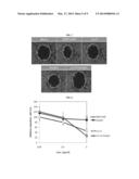 METHOD OF COMBINATION THERAPY FOR PREVENTION OR TREATMENT OF C-MET OR     ANGIOGENESIS FACTOR INDUCED DISEASES diagram and image