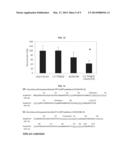 METHOD OF COMBINATION THERAPY FOR PREVENTION OR TREATMENT OF C-MET OR     ANGIOGENESIS FACTOR INDUCED DISEASES diagram and image