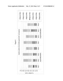 TUBERCULOSIS RV2386C PROTEIN, COMPOSITIONS AND USES THEREOF diagram and image