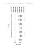 TUBERCULOSIS RV2386C PROTEIN, COMPOSITIONS AND USES THEREOF diagram and image