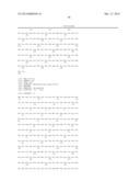 TUBERCULOSIS RV2386C PROTEIN, COMPOSITIONS AND USES THEREOF diagram and image