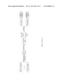 Pharmaceutical Composition and Methods for Modulating Immune System,     Preventing, Pretreating and/or Treating Cancers diagram and image