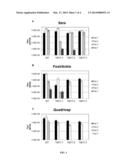 ATTENUATED CHIKUNGUNYA VIRUS diagram and image