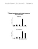 MEANS AND METHODS FOR ACTIVE CELLULAR IMMUNOTHERAPY OF CANCER BY USING     TUMOR CELLS KILLED BY HIGH HYDROSTATIC PRESSURE AND DENDRITIC CELLS diagram and image