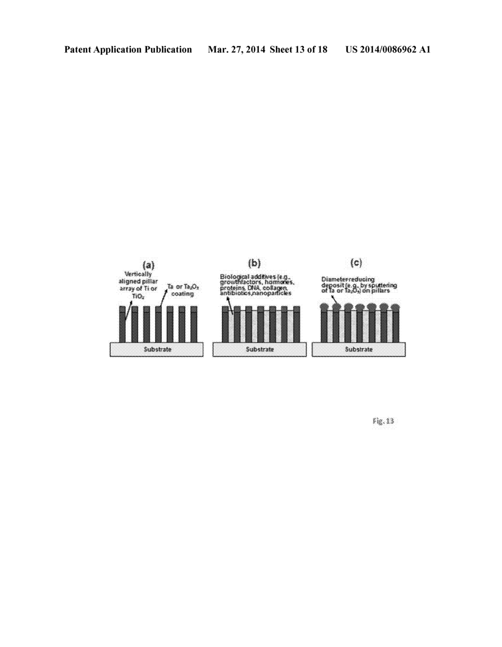 PRODUCTS OF MANUFACTURE HAVING TANTALUM COATED NANOSTRUCTURES, AND METHODS     OF MAKING AND USING THEM - diagram, schematic, and image 14