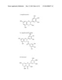 TIGHT JUNCTIONS MODULATORS diagram and image