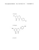 TIGHT JUNCTIONS MODULATORS diagram and image