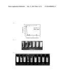 WATER-SOLUBLE DRUG CARRIER AND PROCESS FOR PRODUCING THE SAME diagram and image