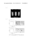WATER-SOLUBLE DRUG CARRIER AND PROCESS FOR PRODUCING THE SAME diagram and image
