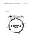 WATER-SOLUBLE DRUG CARRIER AND PROCESS FOR PRODUCING THE SAME diagram and image